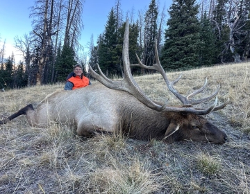 Sns Wyoming Wilderness Elk 2026 3.jpg
